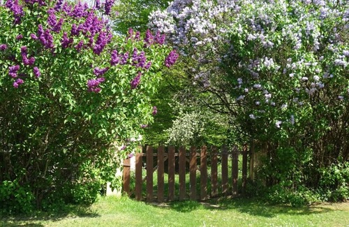 Villefranche-du-Perigord House | Le Chataignier Beautiful 16th Century Barn,