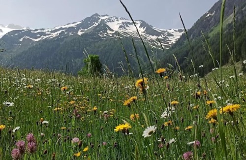 Trient Ski Chalet | Le Chalet du Tissot