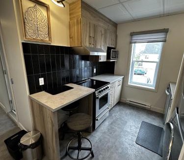 Rouyn-Noranda Apartment | Le Chambreur