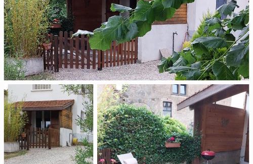 Lens-Lestang House | Le Chant de l'Alyte