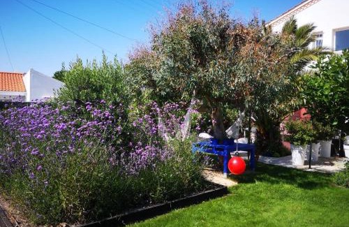 Beauvoir-sur-Mer House | Le chat bleu suite parentale chez l habitant cuisine partagée