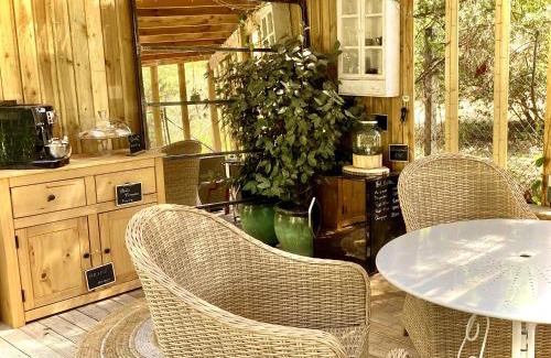 Saint-Andre Apartment | Le Chat Vert - Appartements Adults Only