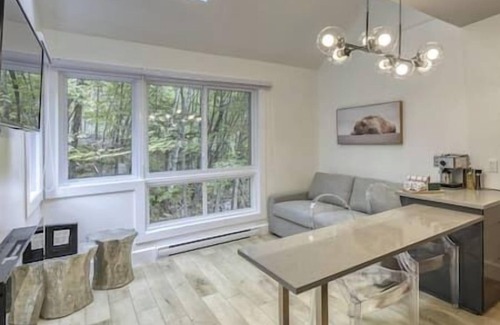 Mont-Tremblant Pedestrian Village Apartment | Le Chic Cabriolet: Cozy Ski Condo 300m to Lifts!