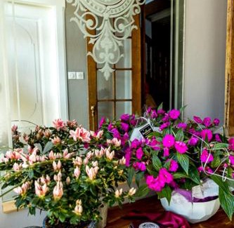 Flexbourg Bed & Breakfast | Le Clos d'Azel MAISON D'HOTES