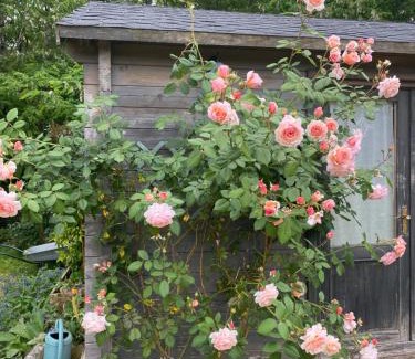 Val d'Amboise Bed & Breakfast | LE CLOS DU GOLF