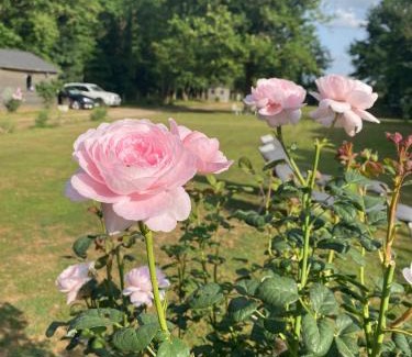 Val d'Amboise Bed & Breakfast | LE CLOS DU GOLF