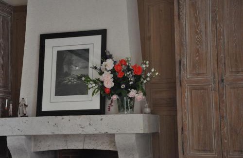 Cour-Cheverny House | Le Clos du Petit Dannezy