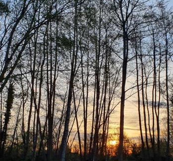 Saint-Gatien-des-Bois Bed & Breakfast | LE CLOS JOLY 14