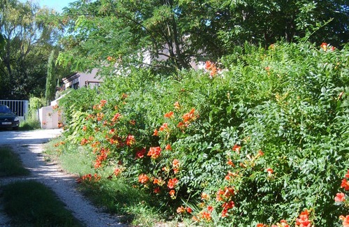 Eyragues Apartment | LE CLOS MARTIN, STUDIO BETWEEN AVIGNON AND ST REMY DE PROVENCE