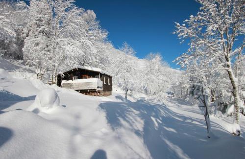 Thiezac House | Le Clou