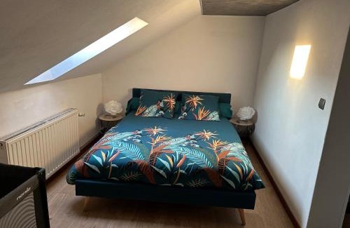 Marckolsheim Apartment | Le cocon de Marckolsheim proche Europapark