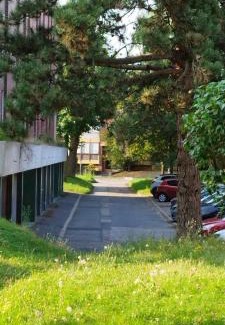 Survilliers Apartment | Le Cocoon des Lierres - Séjour Zen près du Parc Astérix & CDG