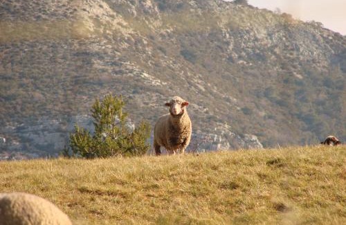 La Roque-Esclapon Hotel | Le Coq en Pâte