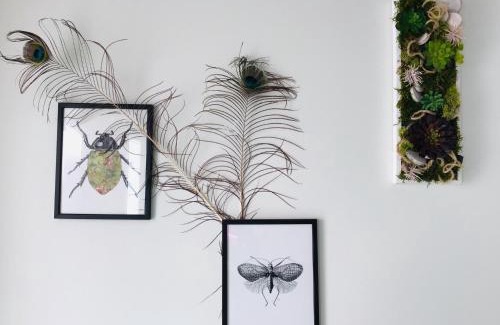 Les Rosiers-sur-Loire Apartment | LE COSY LOIRE appart