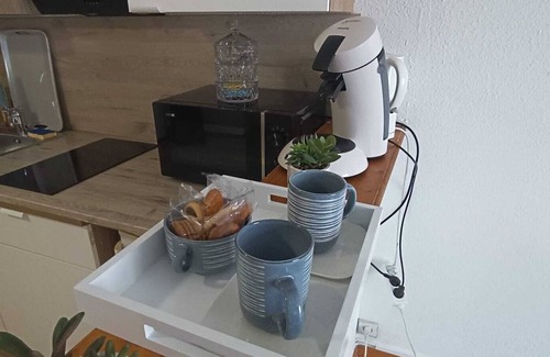 Clermont-Ferrand Apartment | Le Cosy Montferrandais