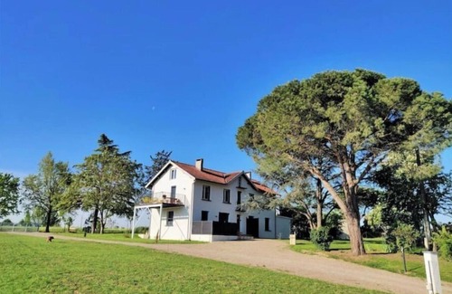 Brens Cottage | Le Cottage Nature Vigne Rouge Clim Gaillac 🐕👍 ★ Les Cottages du Tarn ★