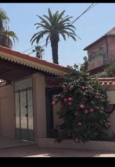 Algeria Apartment | Le déclic