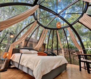 Champion Other | Le Dôme de Namur - Une nuit insolite dans les bois