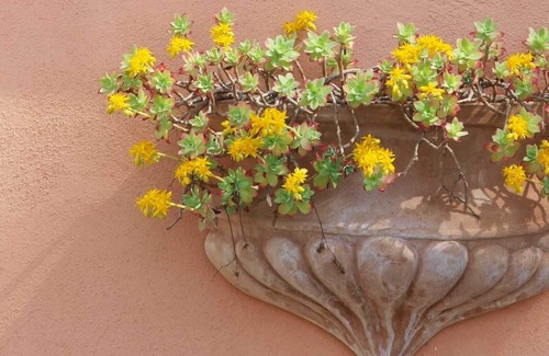 Cannara House | Le Delizie del Gelso - Country house with private pool
