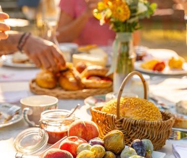 Chasse-sur-Rhone Bed & Breakfast | LE DOMAINE DE GORNETON
