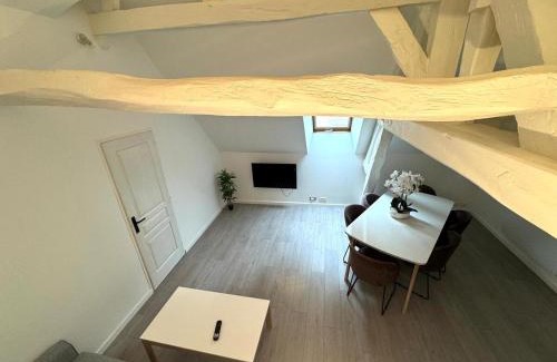Villeneuve-sur-Yonne Apartment | Le Duplex de Villeneuve