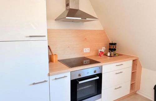 Haguenau Apartment | Le Duplex des Tulipes - Parking included - Haguenau