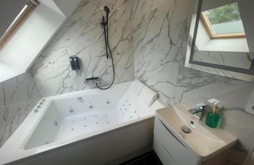 Saint-Martin-du-Tertre House | Le Duplex Balnéo Maison climatisée
