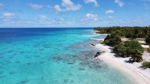 Rangiroa Bed & Breakfast | LE FARE eco