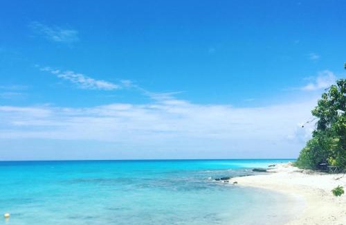 Rangiroa Bed & Breakfast | LE FARE eco