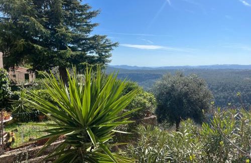 Saint-Cezaire-sur-Siagne Apartment | Le Figuier de Saint Cé Jardinet Terrasse Vue