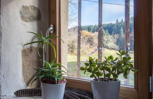 Thiers House | Le Gîte des Trois Cousins