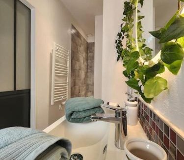 Epernay Apartment | Le Garden Champ'- Duplex, jardin