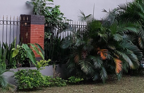 Quatre Bornes House | Le Gavnor -RITTOO Complex now offering Rooms for short let rentals