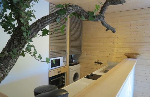 Allemagne-en-Provence House | Le gite du grand cèdre - proche des gorges du Verdon