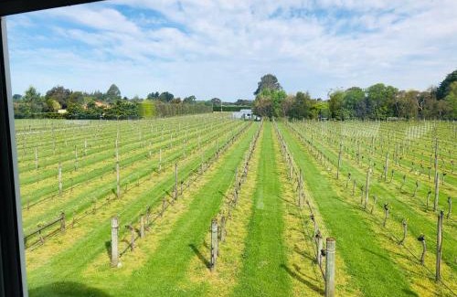 Opaki Bed & Breakfast | Le Grá Vineyard and Winery