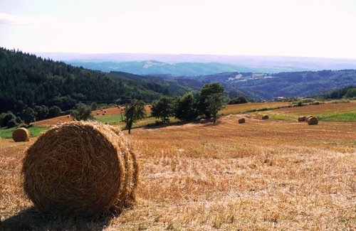 Saint-Didier-sur-Doulon Bed & Breakfast | Le Grand Trianon