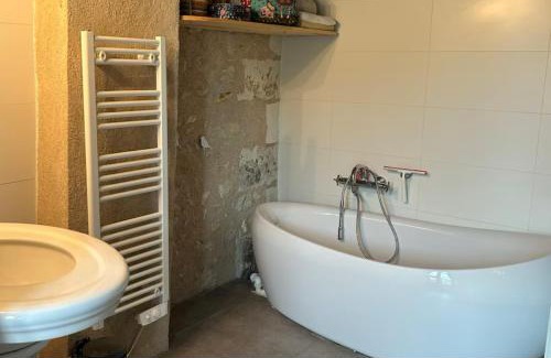 Saint-Julien-de-Chedon House | Le hameau des vignes