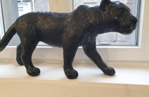 Pamiers Apartment | Le Jungle