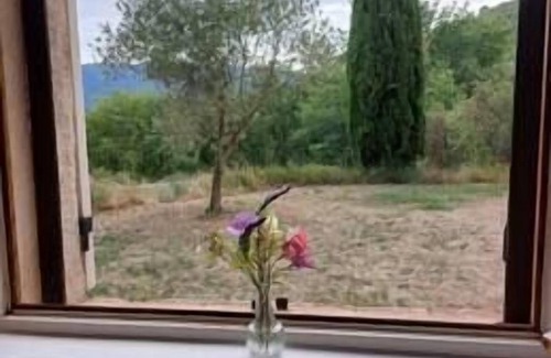 Viens Apartment | le Luberon et le Colorado Provençal Vous Attendent