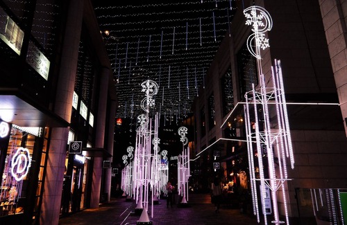 Akasaka Apartment | Le Lys Asiatique Roppongi en Honey Moon