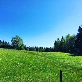 Saint-Imier House | Le Manoir