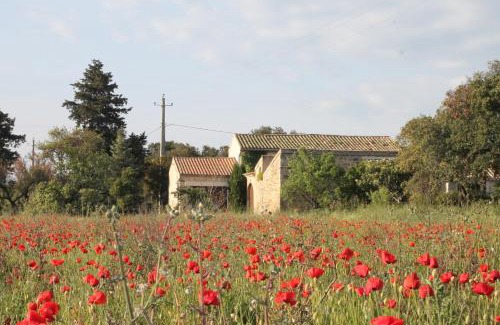 Richerenches Bed & Breakfast | Le Mas De La Seuve
