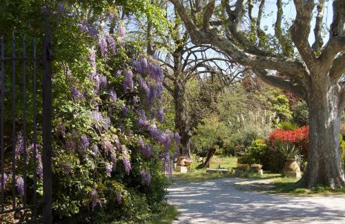 Graveson Bed & Breakfast | Le Mas Ferrand