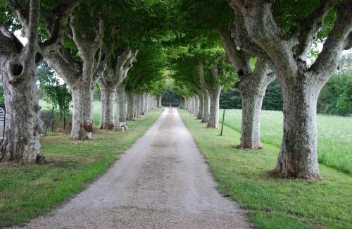 Le Pontet Bed & Breakfast | Le Mas Saint Jacques