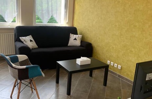 Saulcy-sur-Meurthe Apartment | Le meublé de naya