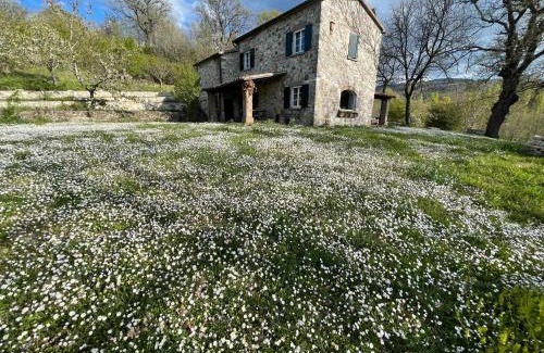 Fiorentino House | Le Mille Querce