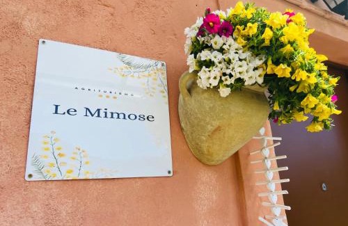 Calvo Apartment | Le Mimose