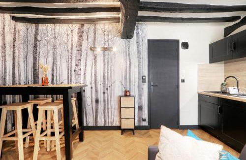 Centre Apartment | Le Moon, bel appartement près du parc du Thabor