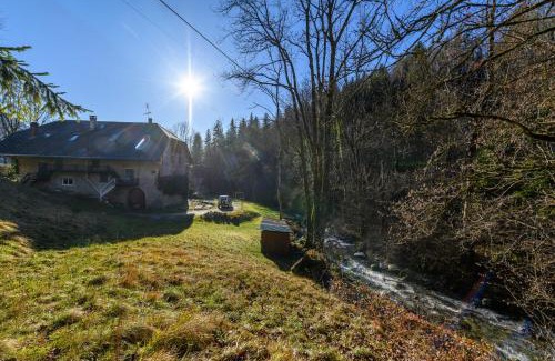 Dingy-Saint-Clair House | Le Moulin de Dingy - House with 6 bedrooms & swimmingpool 20 mn from Annecy