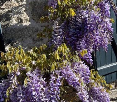 Meymac Bed & Breakfast | Le Moulin des Farges